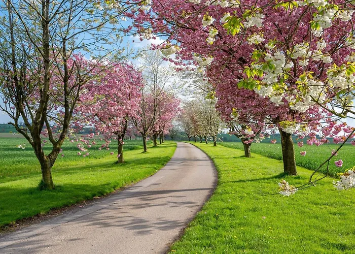 8lacksmith's Shop Σπίτι διακοπών