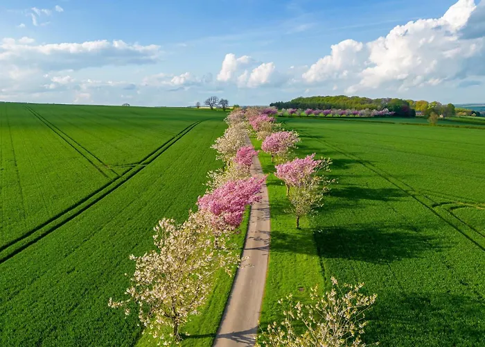 Σπίτι διακοπών 8lacksmith's Shop